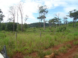BR MT APMT.JRC.SM.PC.0204 6