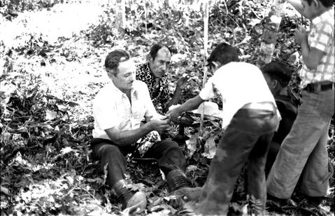 Open original Document numérique