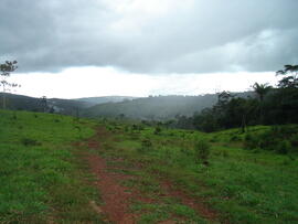 BR MT APMT.JRC.SM.PRF.0212 5