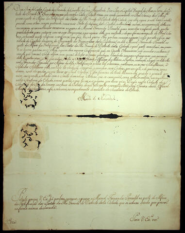 Open original Document numérique