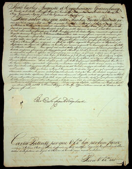 BR MTAPMT SG-CP-3072 1