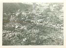 BR MTAPMT COL-200-250-251-00013 1
