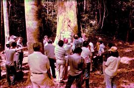BR MT APMT.JRC.CD.AT.0194 1