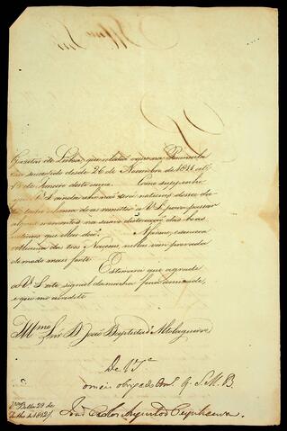 Open original Document numérique