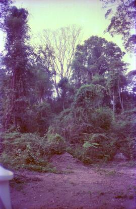 BR MT APMT.JRC.CD.AP.0081 16