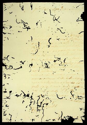 Open original Document numérique