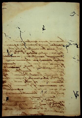 Open original Document numérique