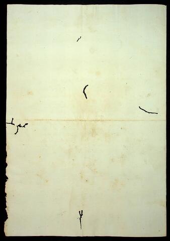 Open original Document numérique