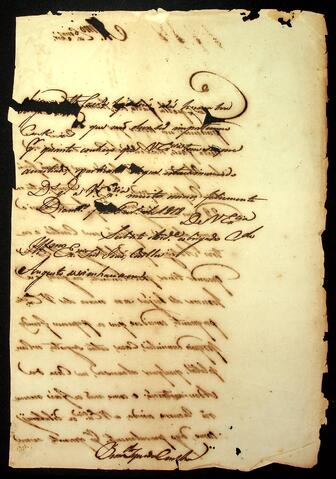 Open original Document numérique