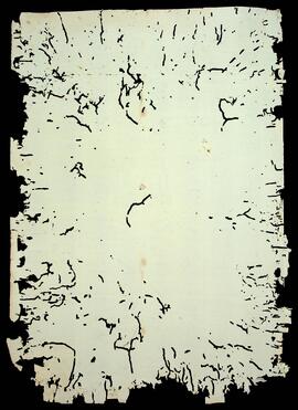 BR MTAPMT QM-TM-CA-0885 2