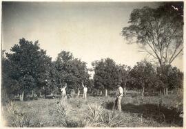 BR MTAPMT COL-200-210-211-00043 1