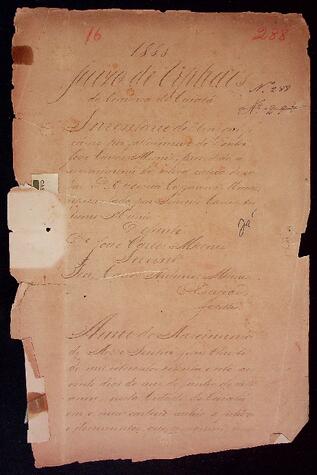 Open original Document numérique