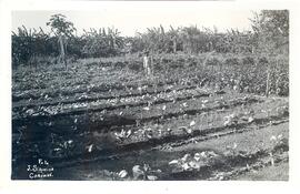 BR MTAPMT COL-200-210-211-00006 1