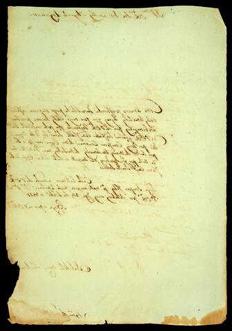 Open original Document numérique