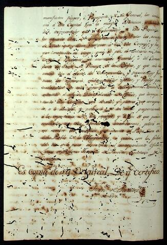 Open original Document numérique