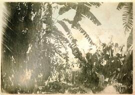BR MTAPMT COL-200-210-211-00045 1