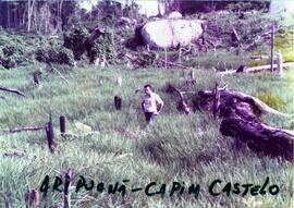 BR MT APMT.JRC.CD.ID.0041 3