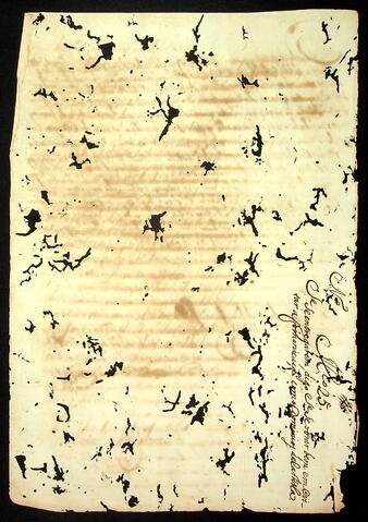 Open original Document numérique