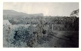 BR MTAPMT COL-200-210-211-00025 1