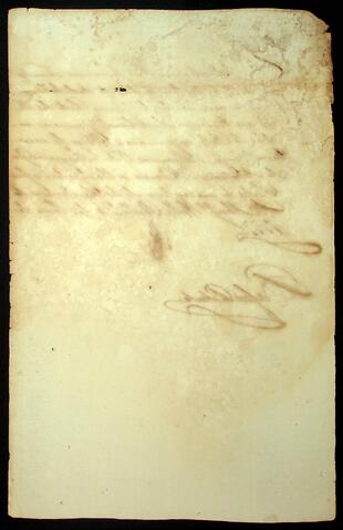 Open original Document numérique