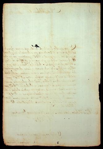 Open original Document numérique