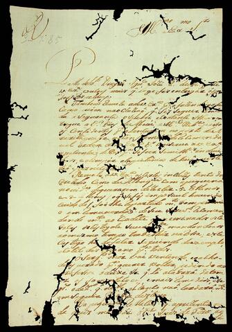 Open original Document numérique