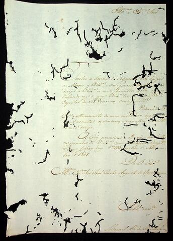 Open original Document numérique