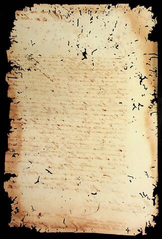 Open original Document numérique