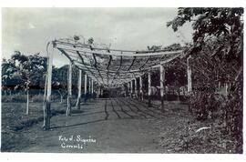 BR MTAPMT COL-200-210-211-00023 1