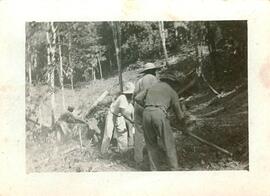 BR MTAPMT COL-200-250-251-00015 1
