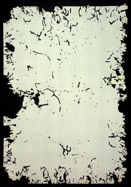 BR MTAPMT SG-CA-0625 2