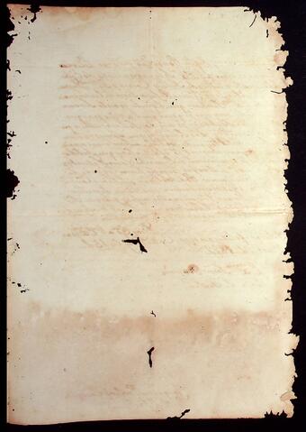 Open original Document numérique