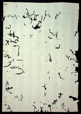 BR MTAPMT SG-CA-2485 2