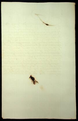 BR MTAPMT SG-NO-1325 2