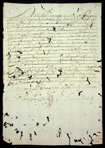 Open original Document numérique