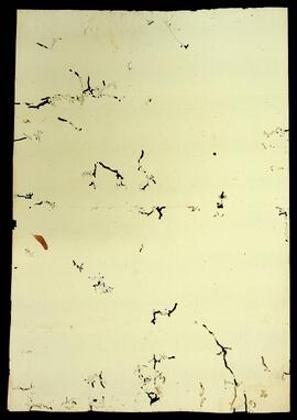 BR MTAPMT QM-TM-CA-1323 4