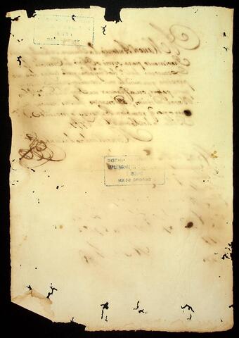 Open original Objeto digital