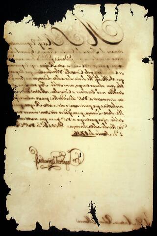 Open original Document numérique