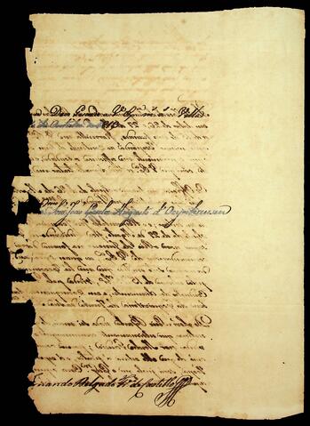 Open original Document numérique