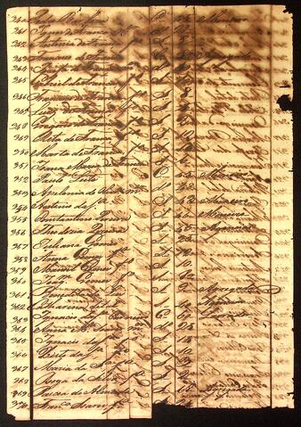 Open original Document numérique