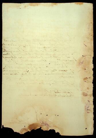 Open original Document numérique