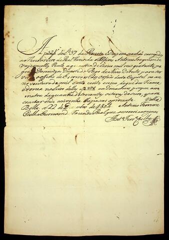 Open original Document numérique