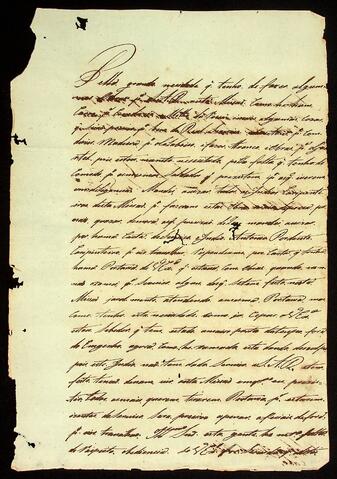 Open original Document numérique