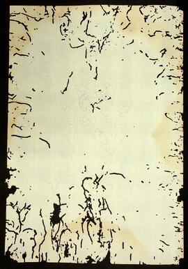 BR MTAPMT QM-DR-CA-0045 4