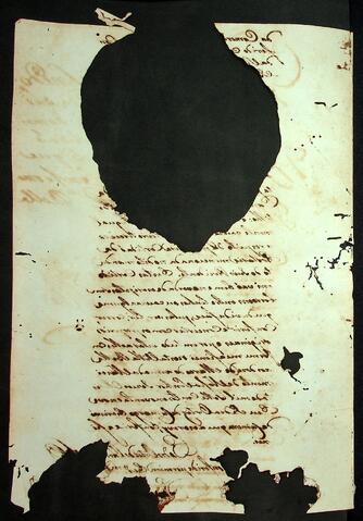 Open original Document numérique