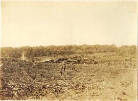 BR MTAPMT COL-200-210-211-00022 1