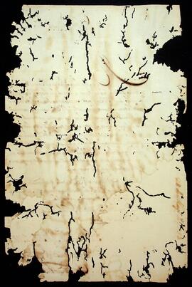 BR MTAPMT SG-CA-0079 2