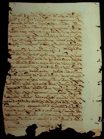 Open original Document numérique