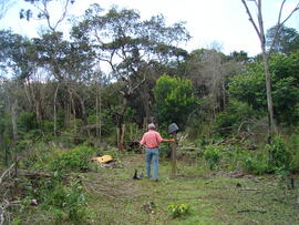 BR MT APMT.JRC.SM.PRF.0212 1