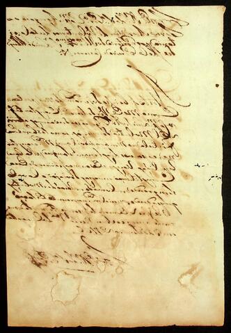 Open original Document numérique